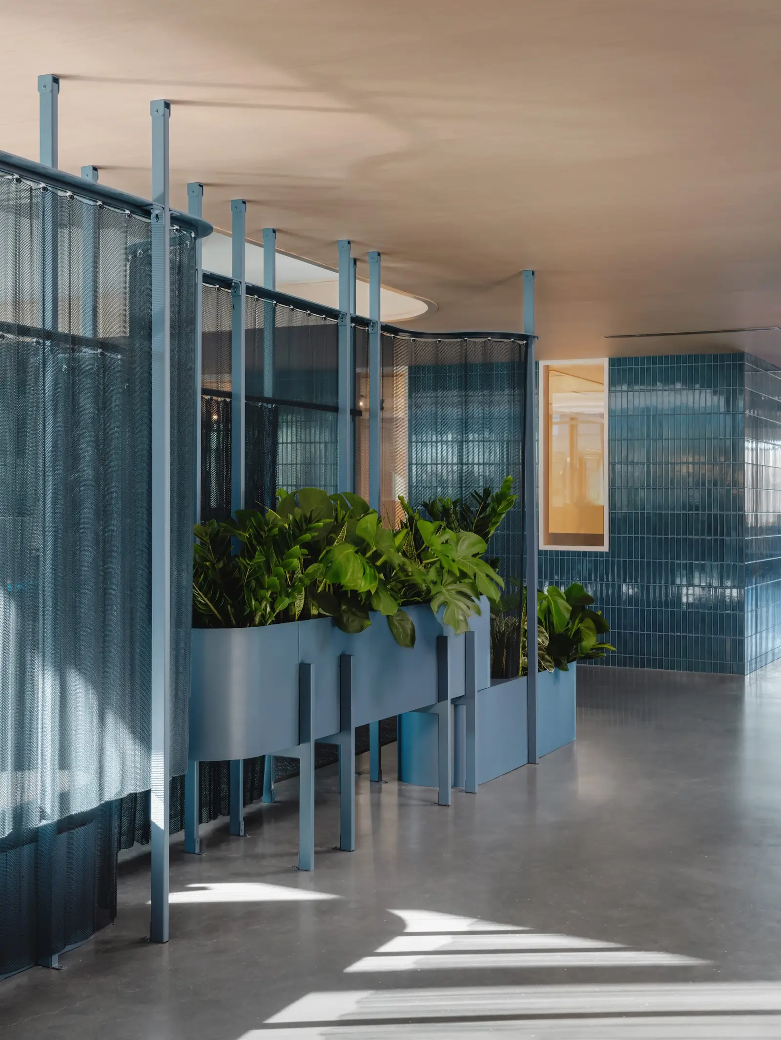 Atmosphere TV glass and blue fabric partition with a planter and blue tile wall