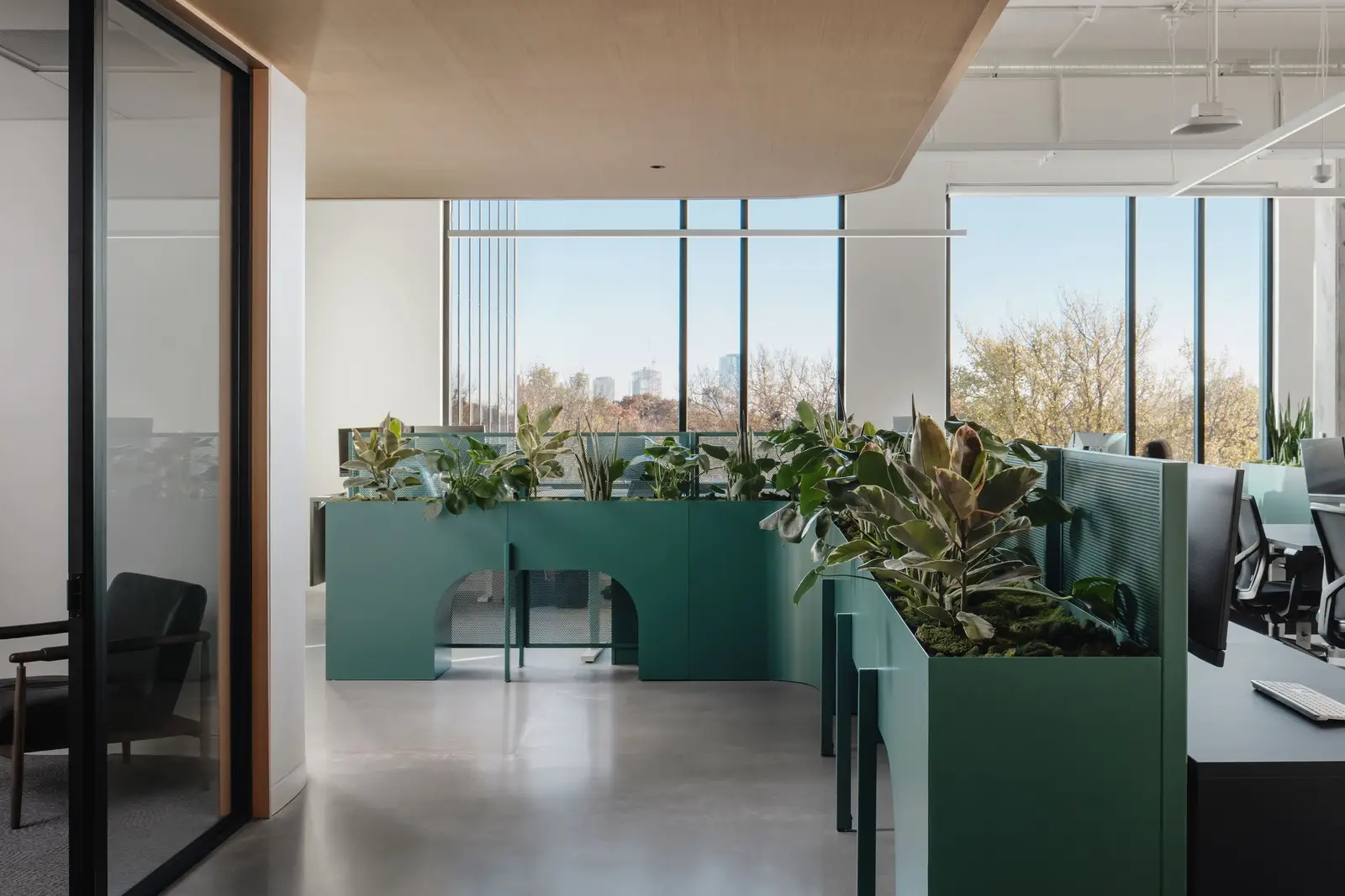 Atmosphere TV workstations with green planter dividers beside a glass wall