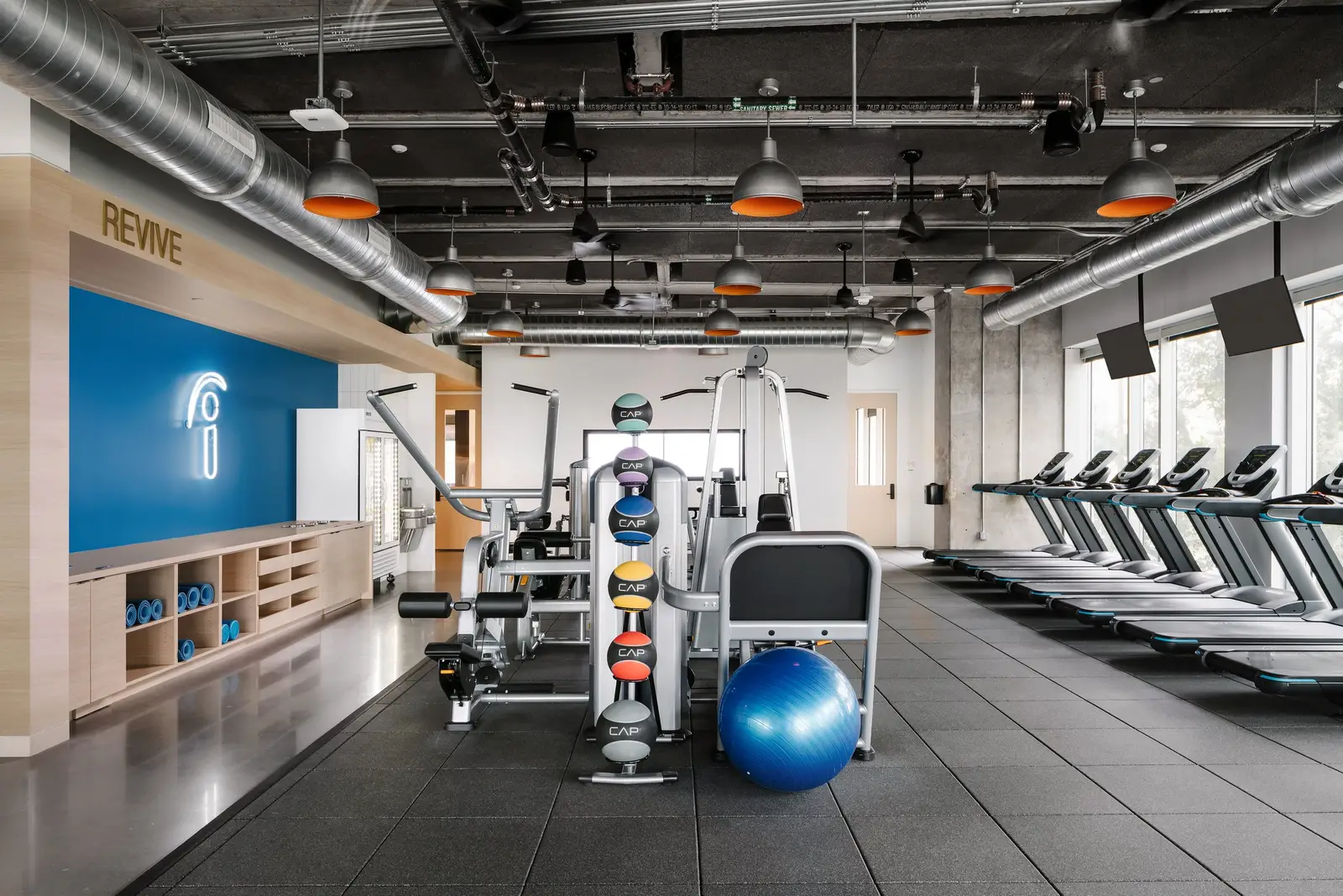 Indeed gym with equipment and a blue wall