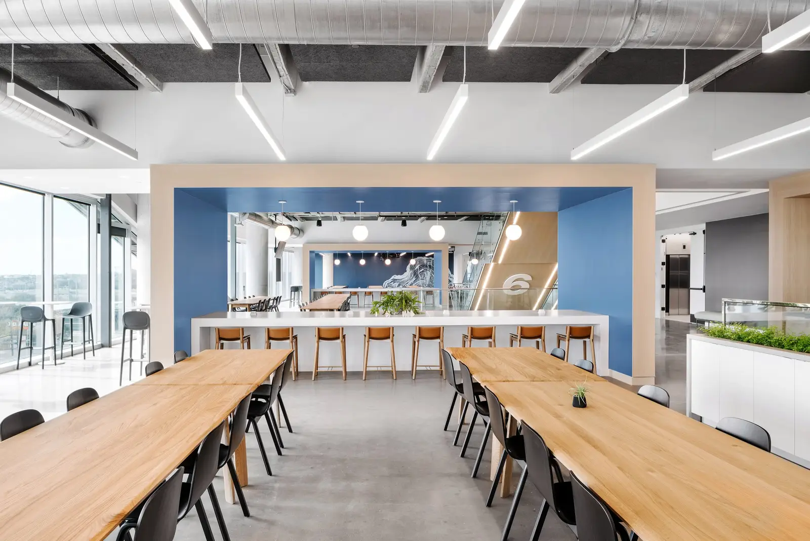 Indeed long wood communal tables in front of a blue wall